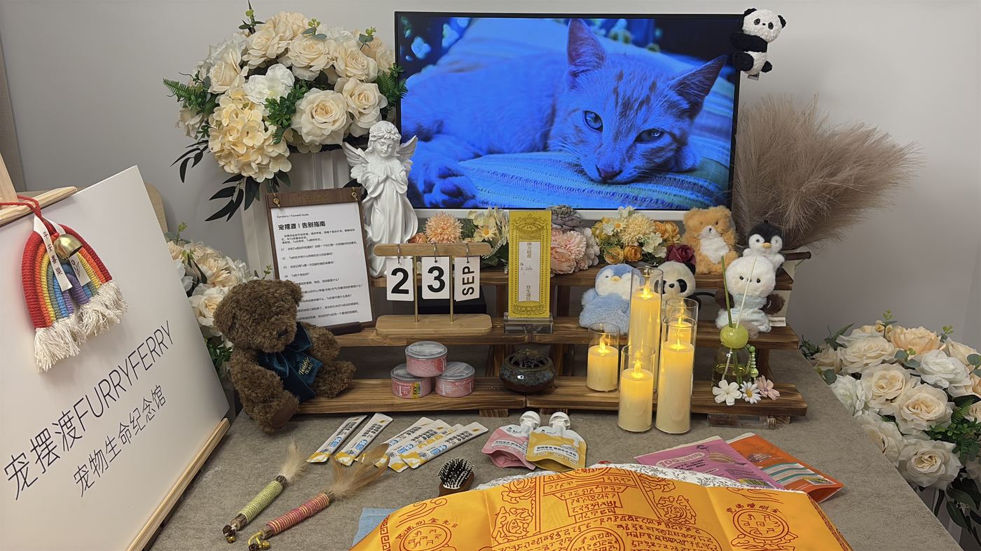 青岛宠物告别厅布置：如何给琴岛家属一个体面的告别