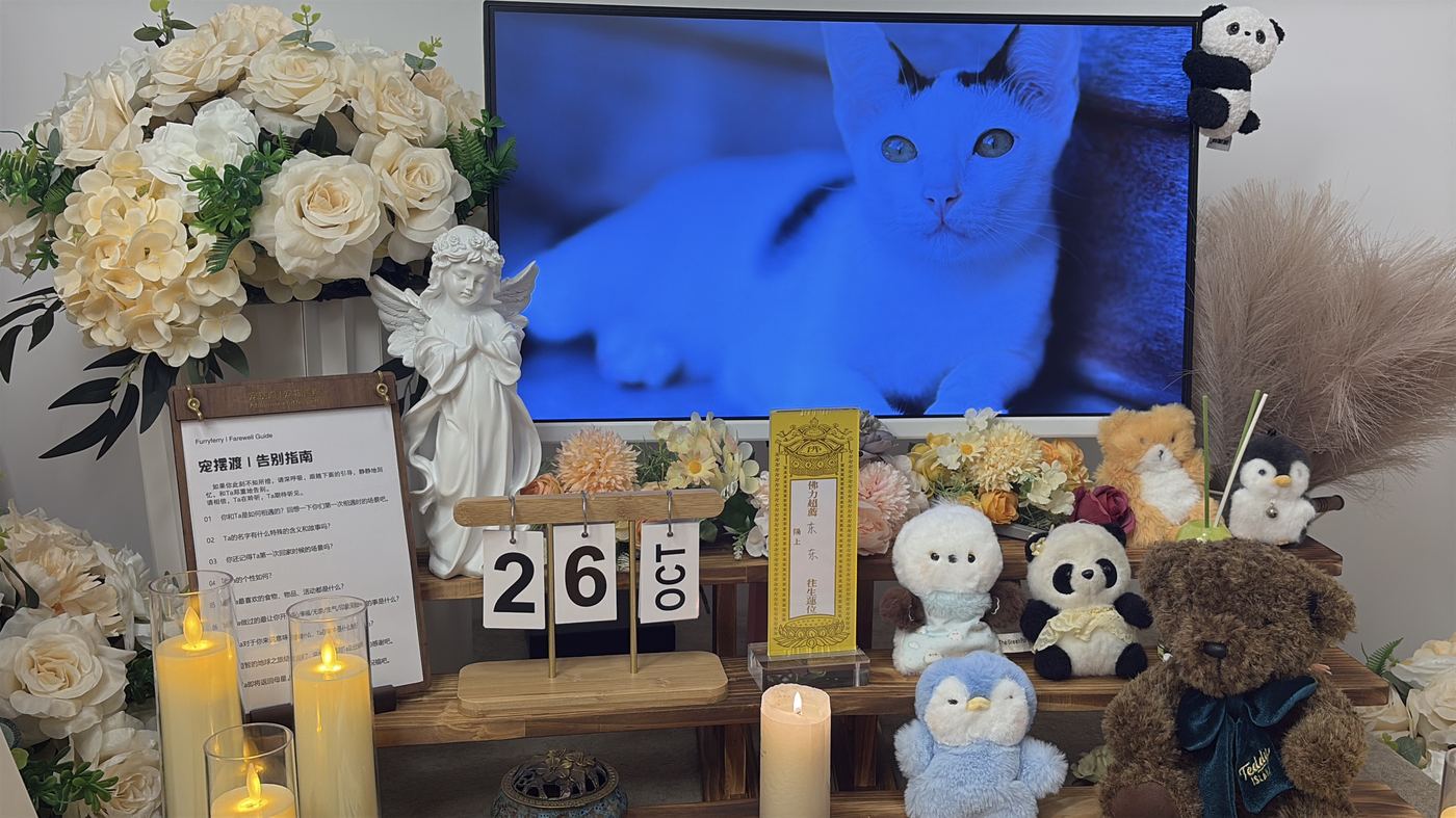 青岛崂山区接回中心